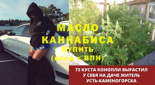 спайс Арсеньев