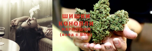PSILOCYBIN Аркадак