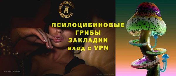 PSILOCYBIN Аркадак
