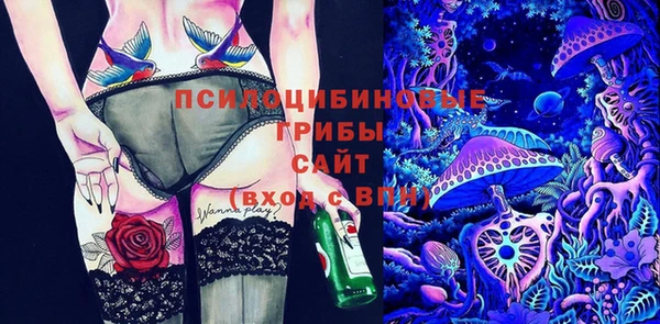 apvp Армянск