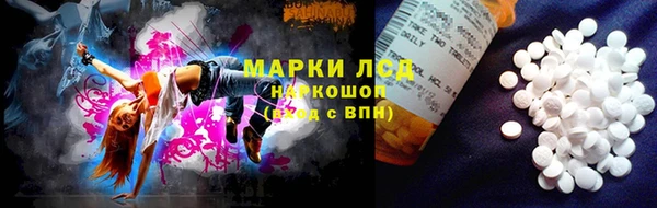 PSILOCYBIN Аркадак